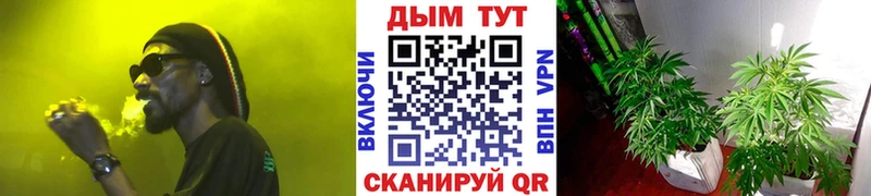 Наркошоп купить Галлюциногенные грибы  Alpha PVP  Меф  Гашиш  Баксан