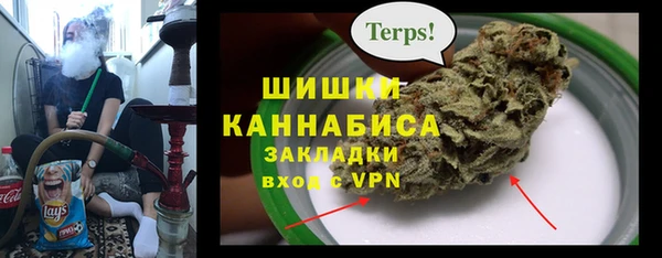крисы Инта
