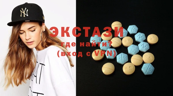 крисы Инта