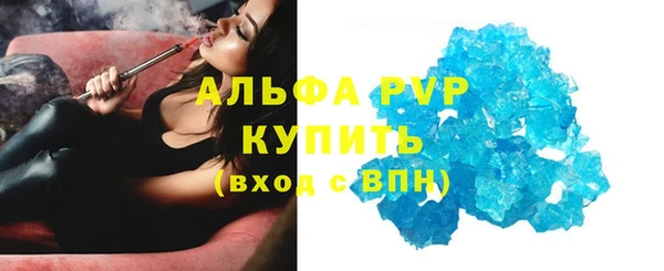 крисы Инта