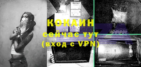 кокс Инсар