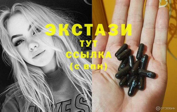 крисы Инта