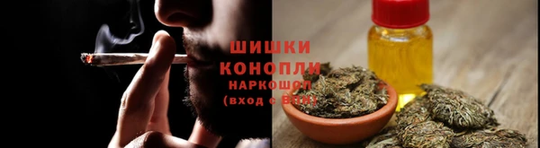 крисы Инта
