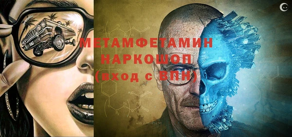 крисы Инта
