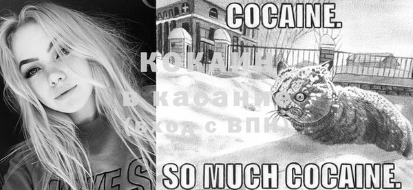 крисы Инта