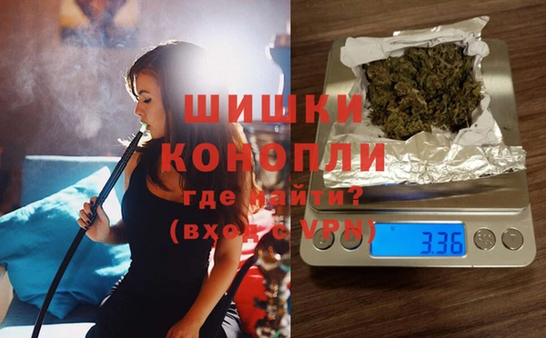 крисы Инта