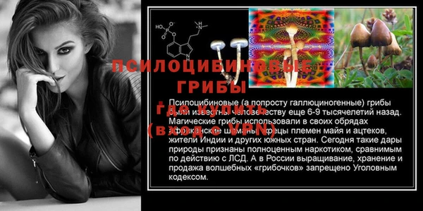 кокс Инсар